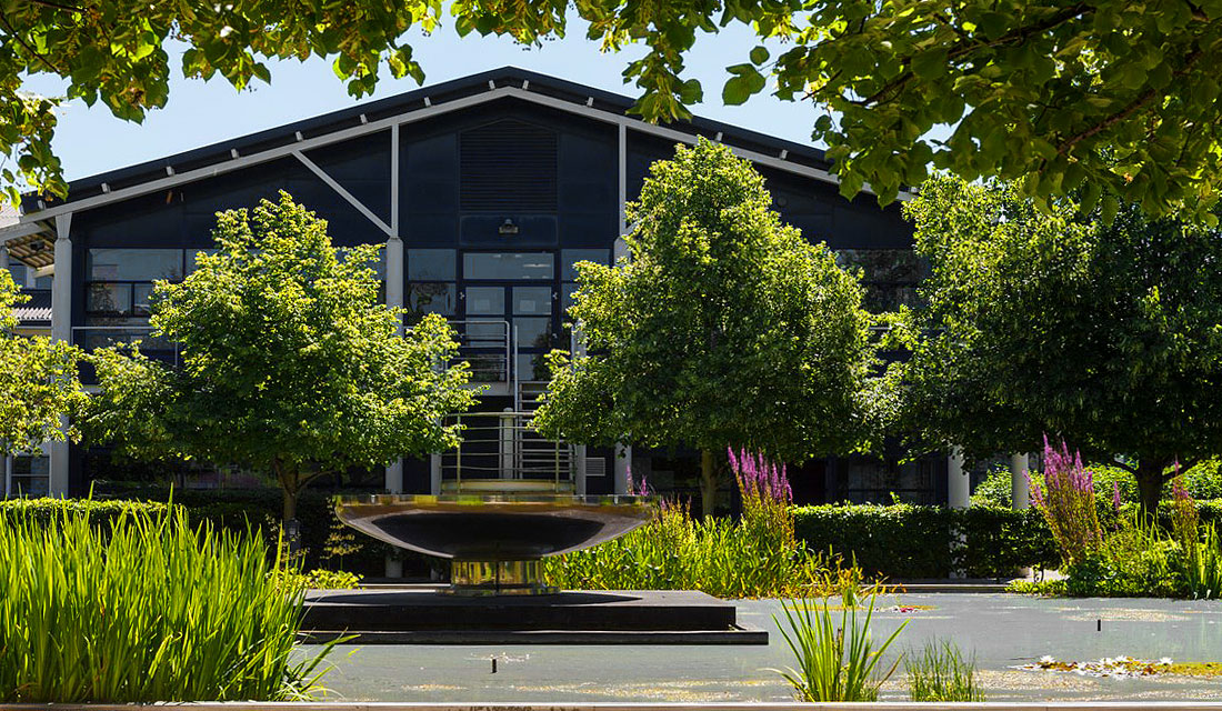 building in trees cambridge